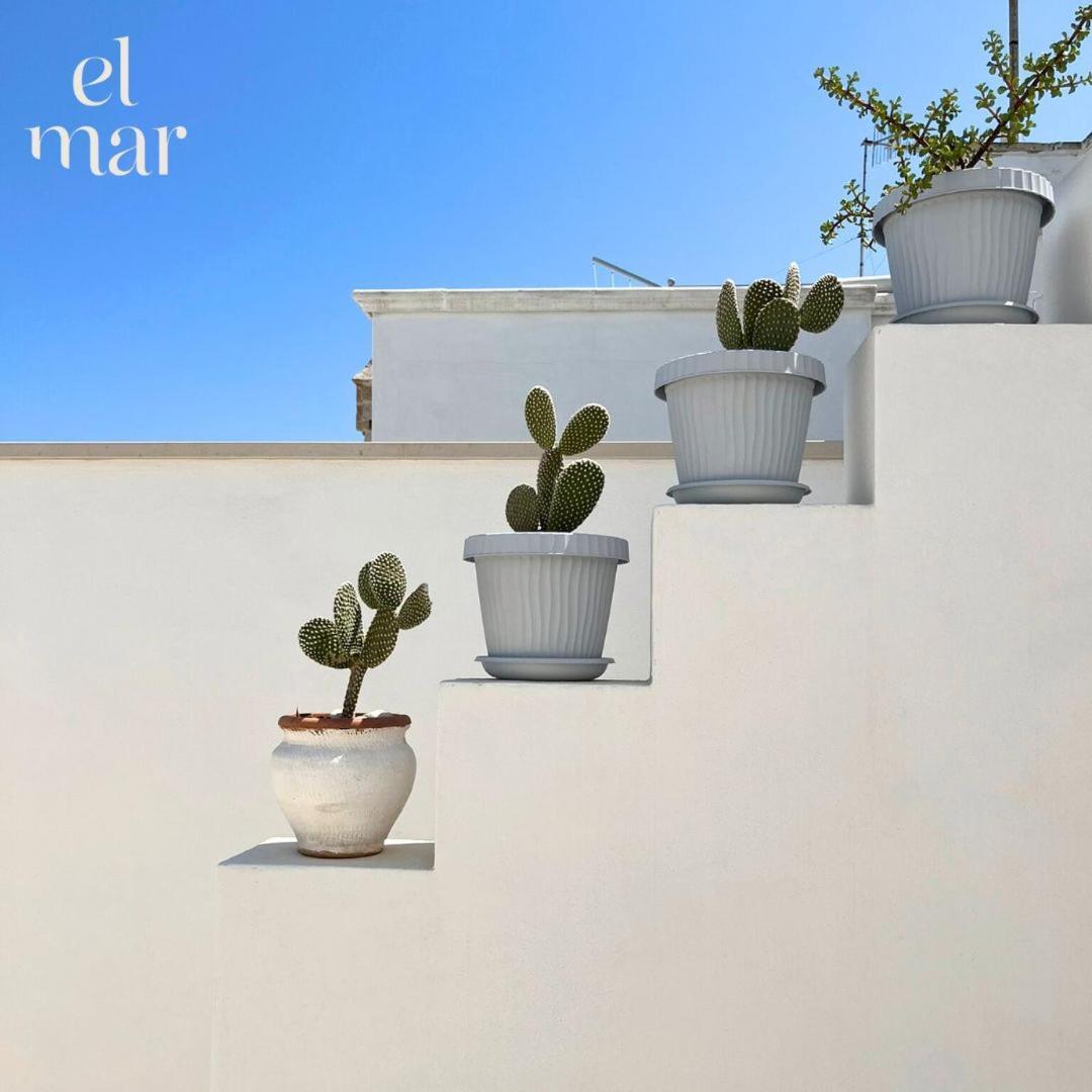 El-Mar Locazione Turistica House With Exclusive Terrace Apartment Polignano a Mare Bagian luar foto