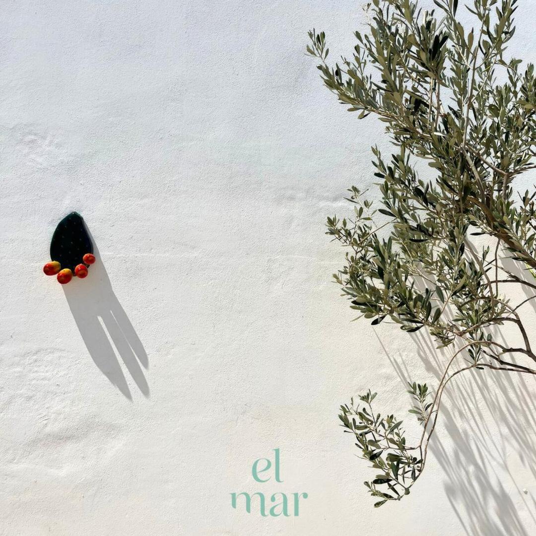 El-Mar Locazione Turistica House With Exclusive Terrace Apartment Polignano a Mare Bagian luar foto